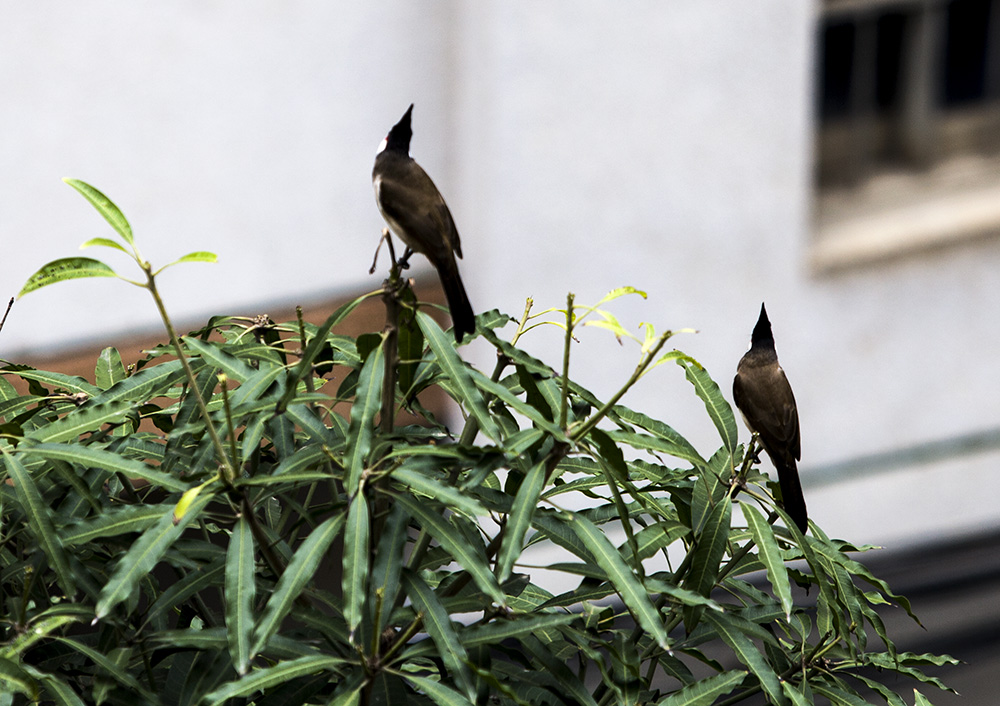 IMG_7706副本.jpg