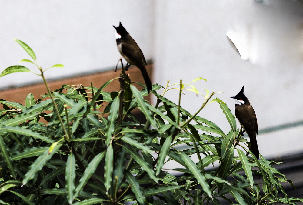 IMG_7707副本.jpg