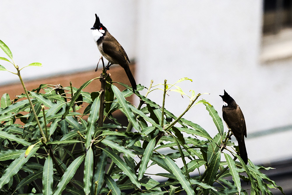 IMG_7708副本.jpg