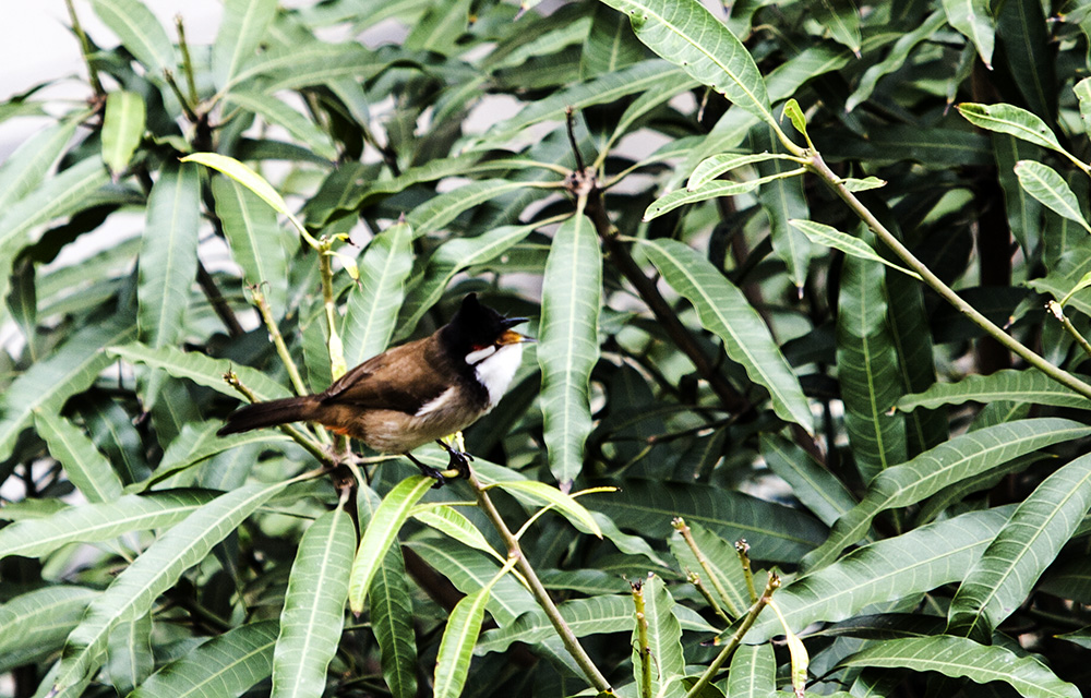 IMG_7713副本.jpg