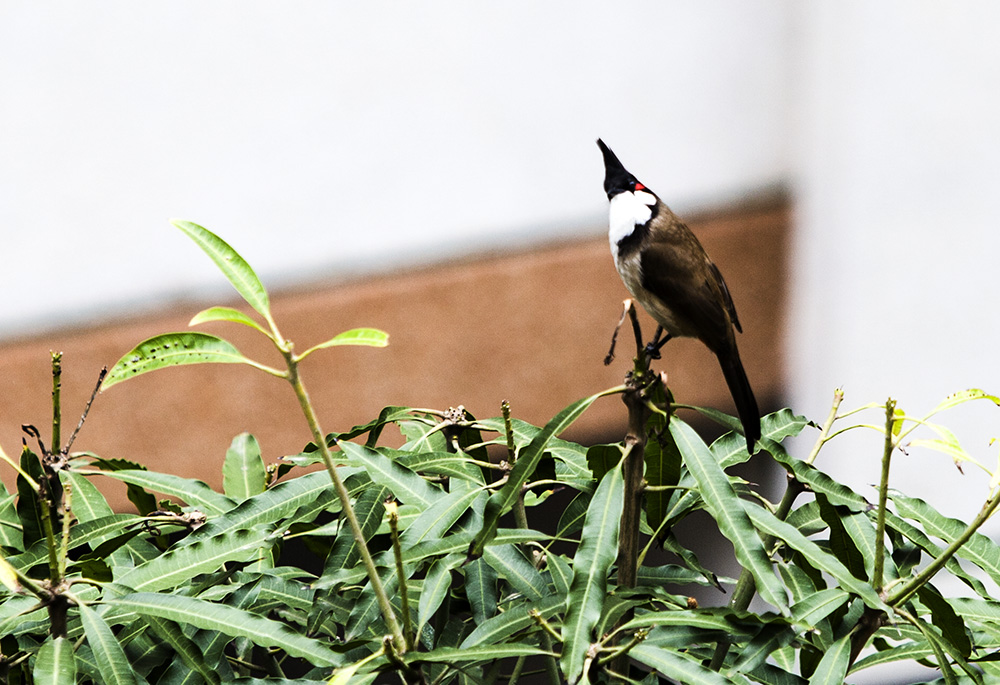 IMG_7710副本.jpg