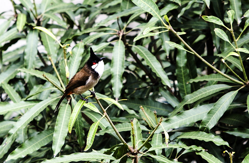 IMG_7718副本.jpg