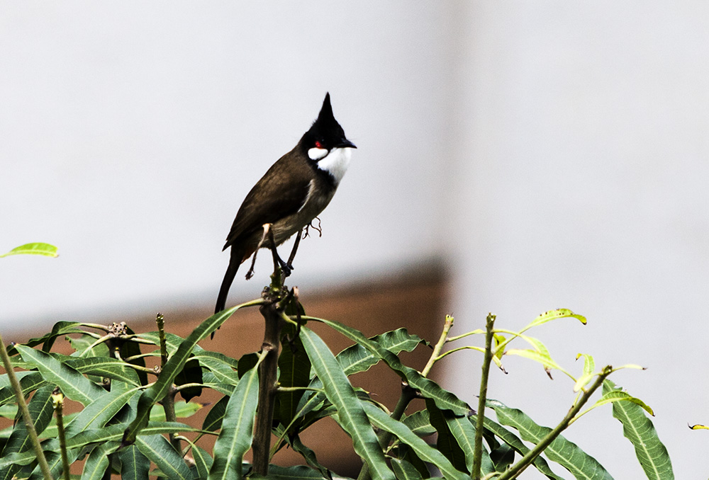 IMG_7734副本.jpg