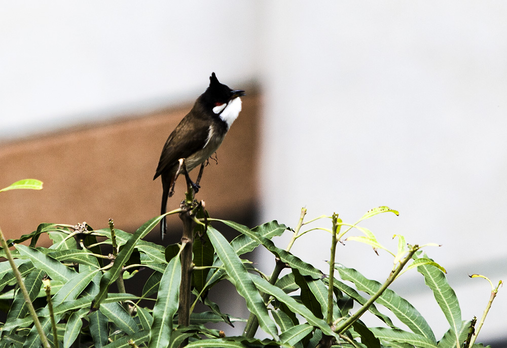 IMG_7737副本.jpg