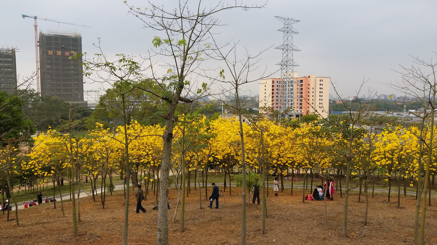 20170220_145039.jpg