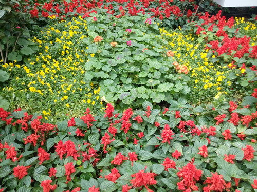 IMG_20170220_114855_副本.jpg