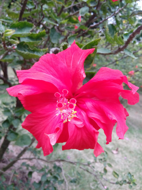 IMG_20170220_122617_副本.jpg