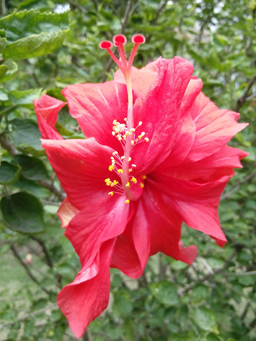 IMG_20170220_122643_副本.jpg