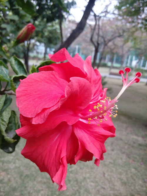 IMG_20170220_122757_副本.jpg