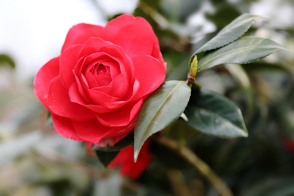 041A9484-2_调整大小.jpg