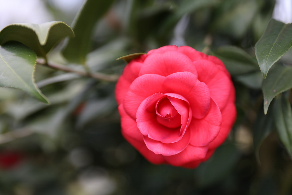 041A9520-1_调整大小.jpg