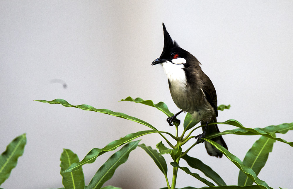 IMG_0304副本.jpg