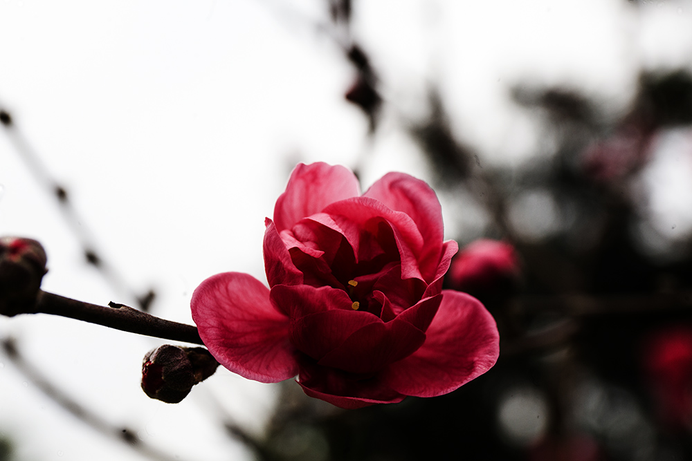 IMG_8293副本.jpg