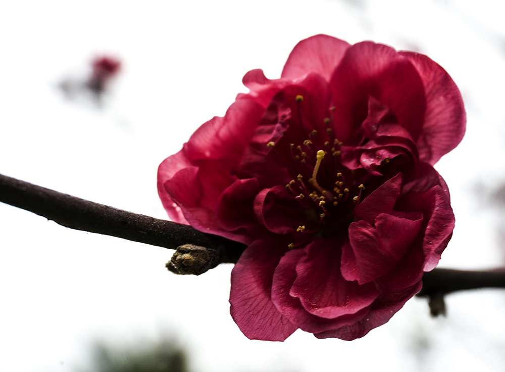 IMG_8295副本.jpg