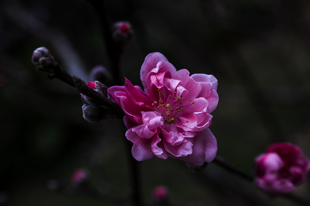 IMG_8297副本.jpg