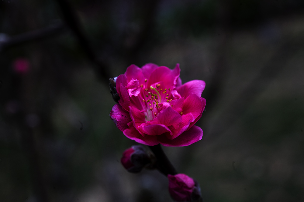 IMG_8296副本.jpg