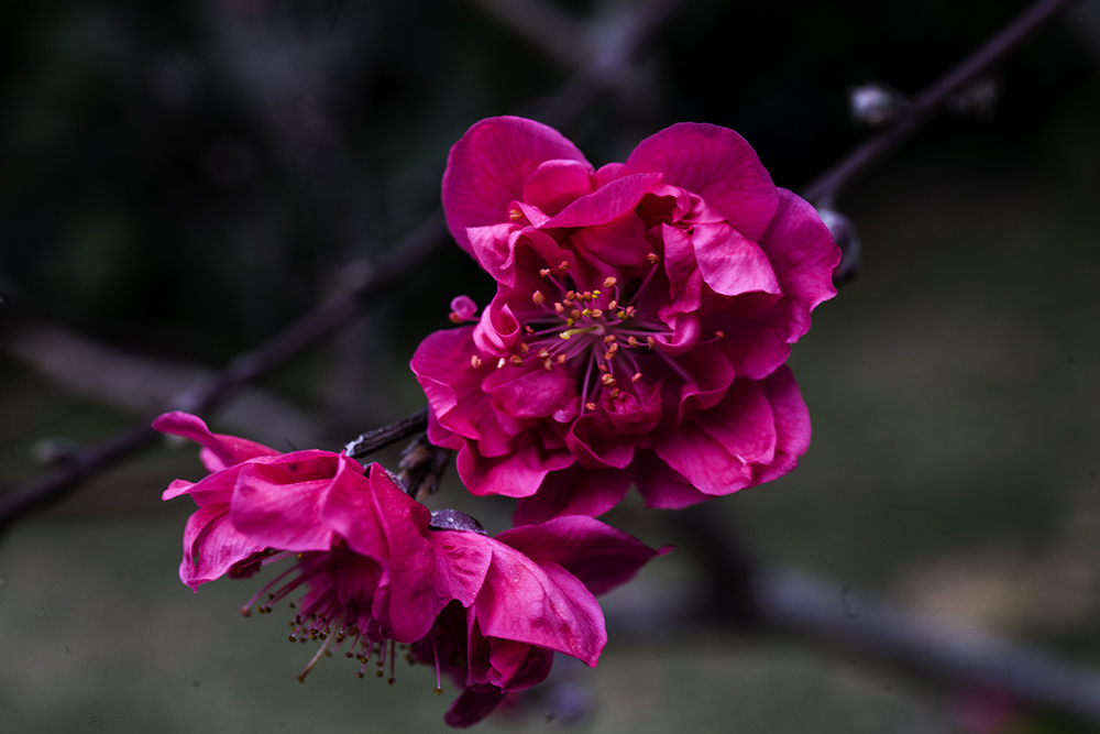 IMG_8298副本.jpg