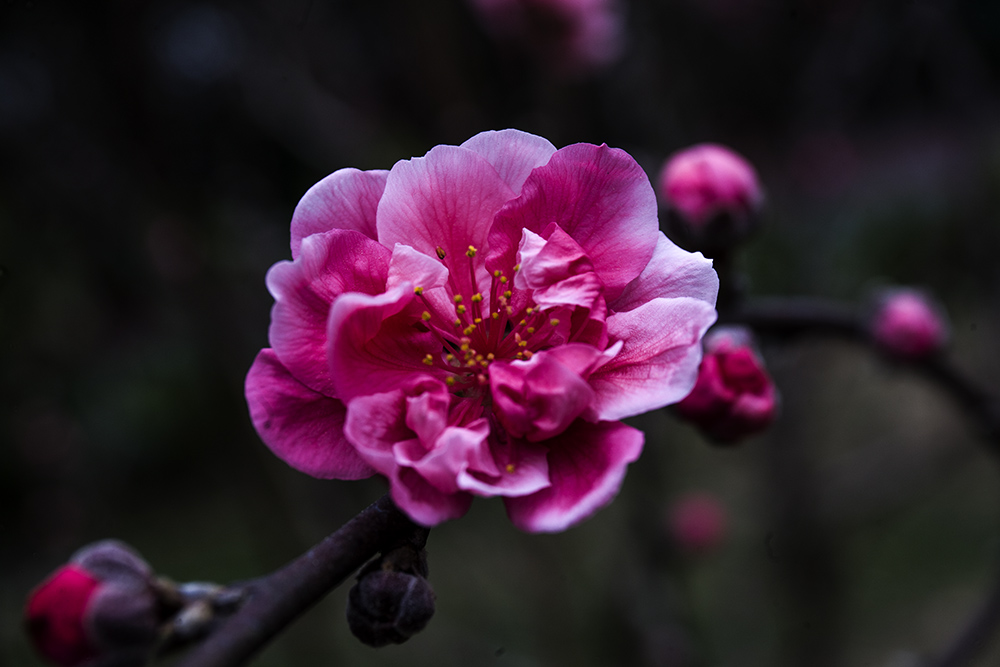 IMG_8301副本.jpg