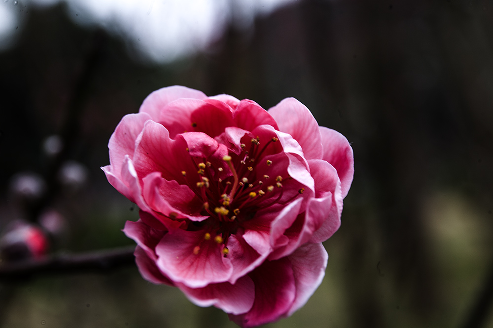IMG_8303副本.jpg
