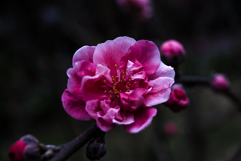 IMG_8302副本.jpg