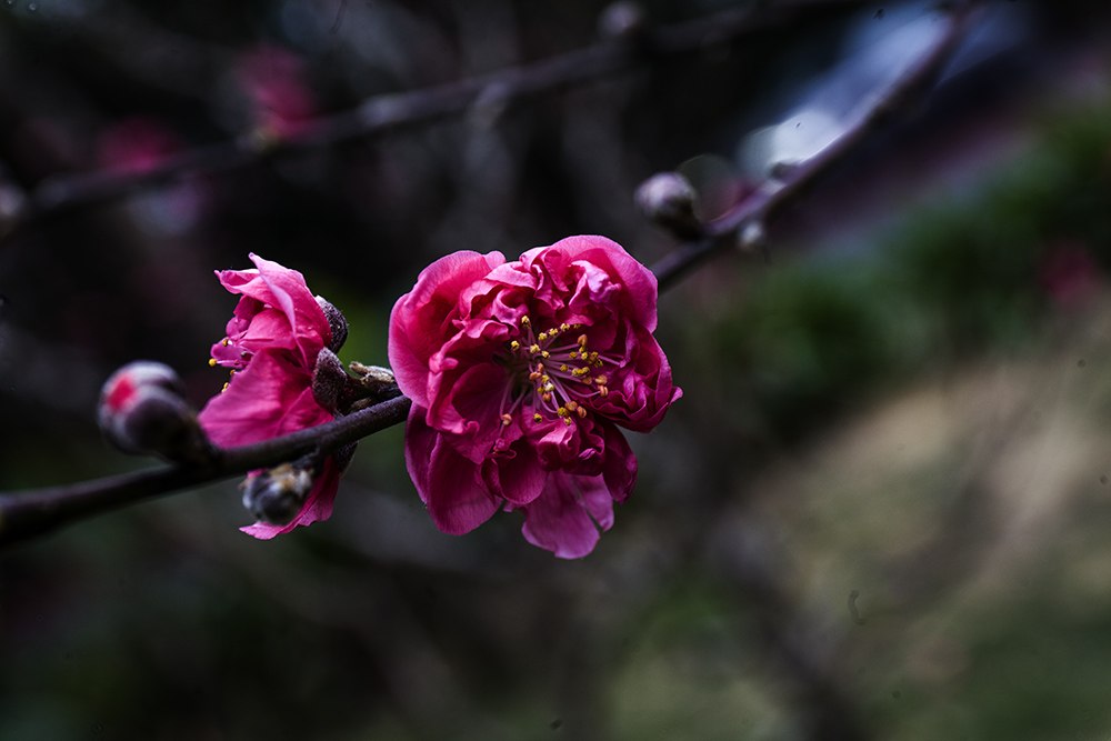 IMG_8308副本.jpg