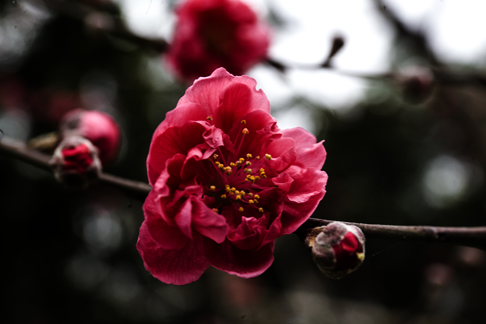 IMG_8311副本.jpg