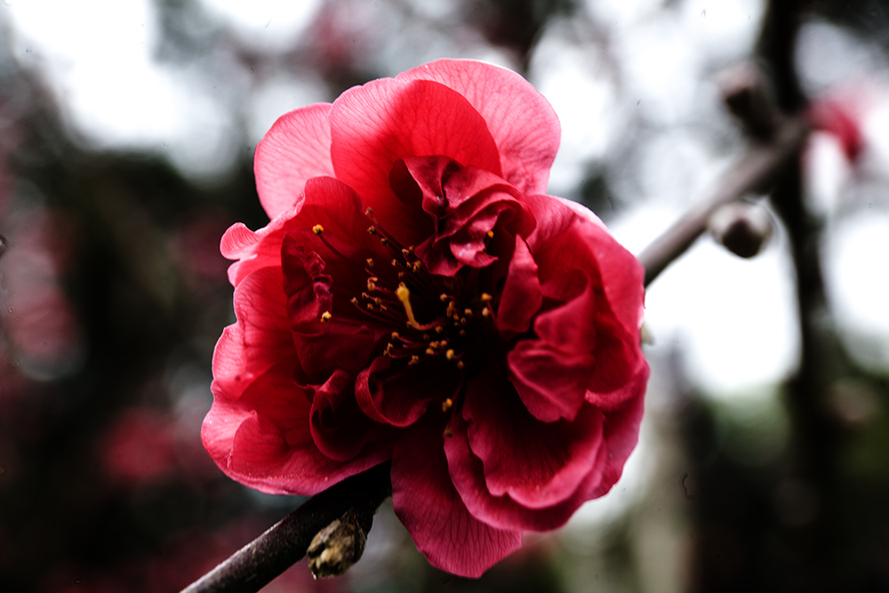 IMG_8310副本.jpg