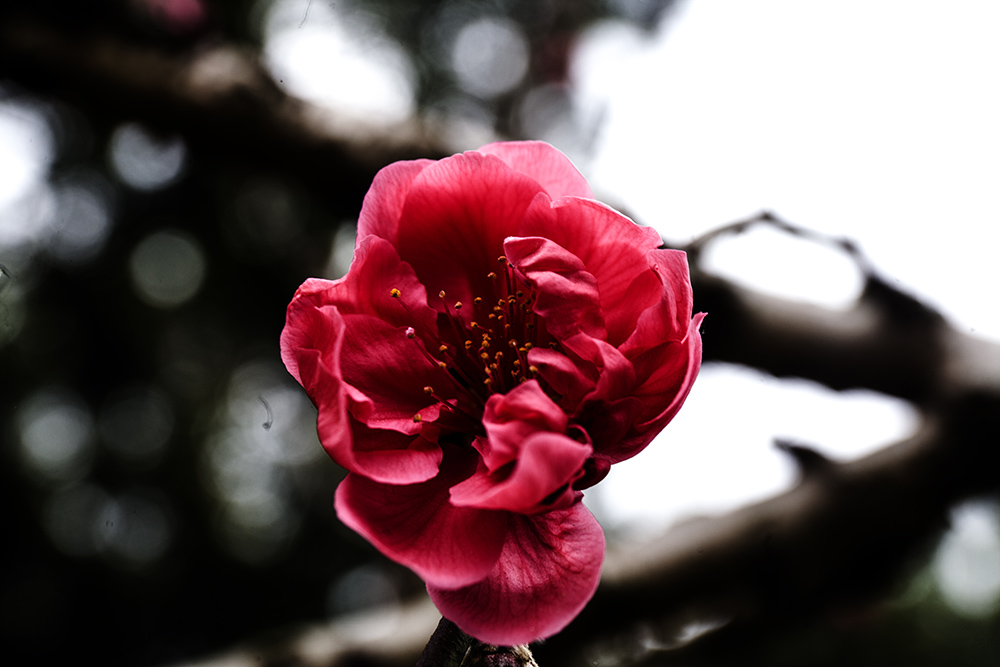 IMG_8313副本.jpg