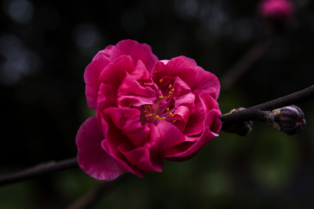 IMG_8314副本.jpg