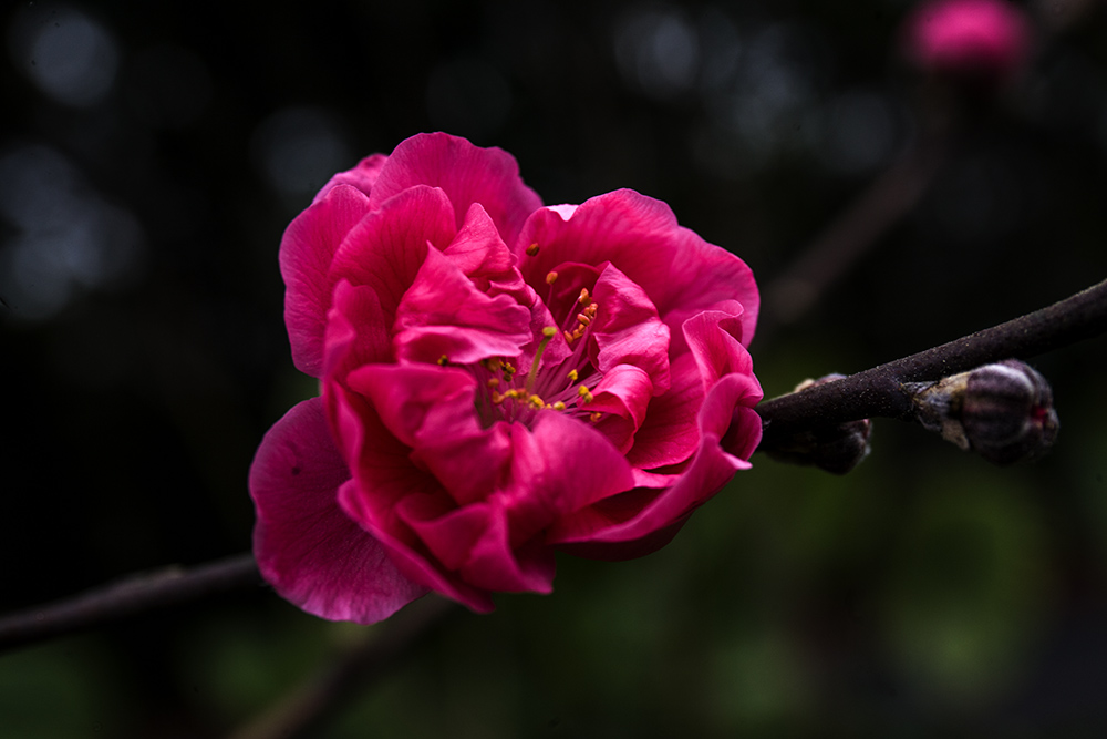 IMG_8315副本.jpg