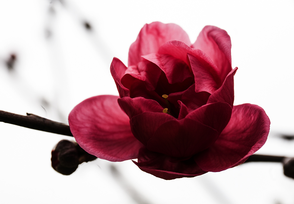 IMG_8321副本.jpg