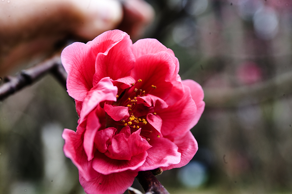 IMG_8323副本.jpg