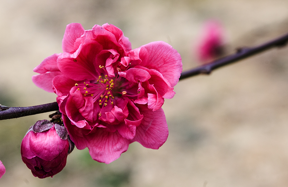 IMG_8325副本.jpg
