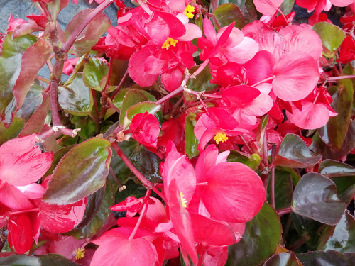IMG_20170226_161505_副本.jpg