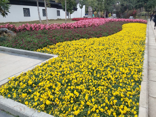 IMG_20170226_170136_副本.jpg