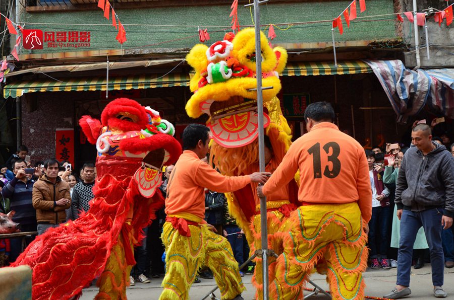 DSC_6646_副本.jpg