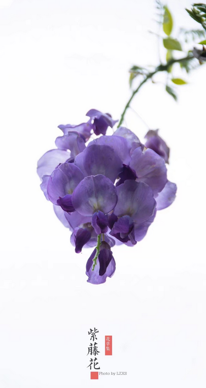 DSC_5201.png