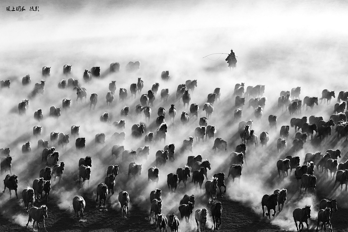 “_T2Y6949”为智能对象-01.jpg