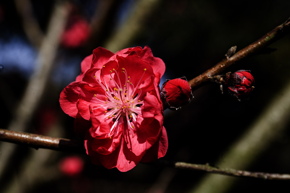 IMG_1109副本.jpg