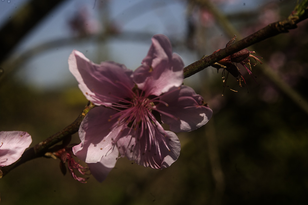 IMG_1143副本.jpg