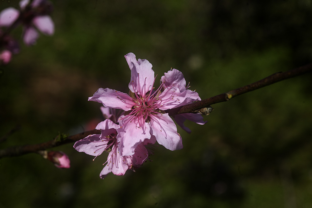 IMG_1144副本.jpg