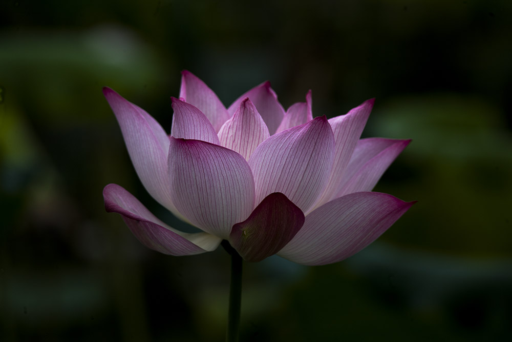 IMG_3899副本.jpg