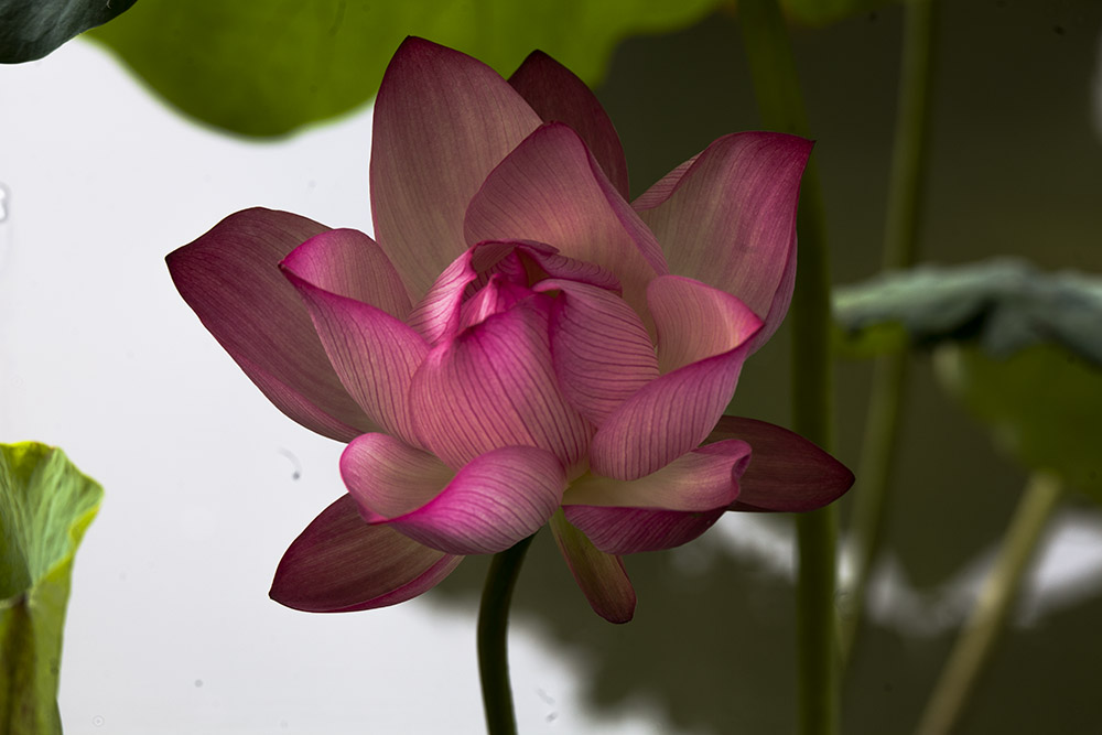 IMG_3903副本.jpg
