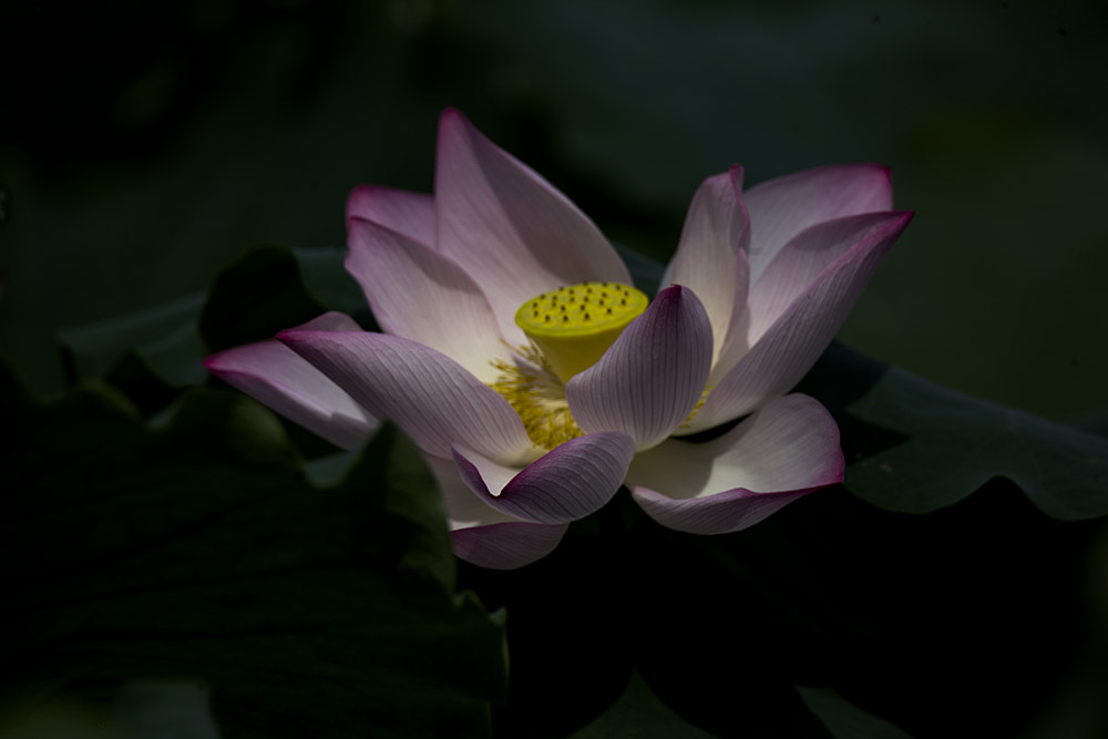 IMG_3938副本.jpg