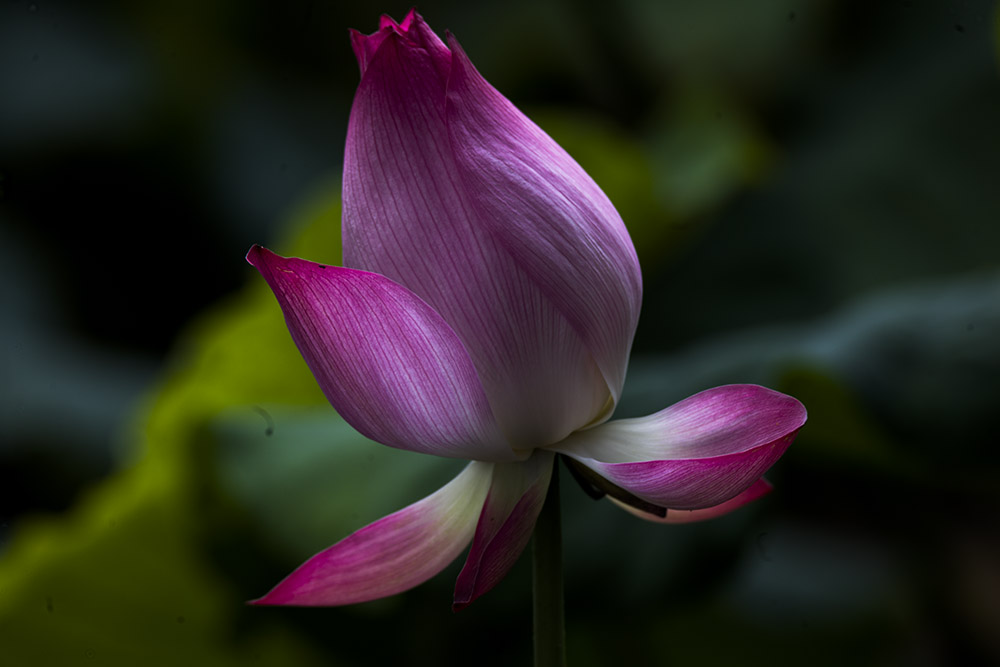 IMG_3949副本.jpg