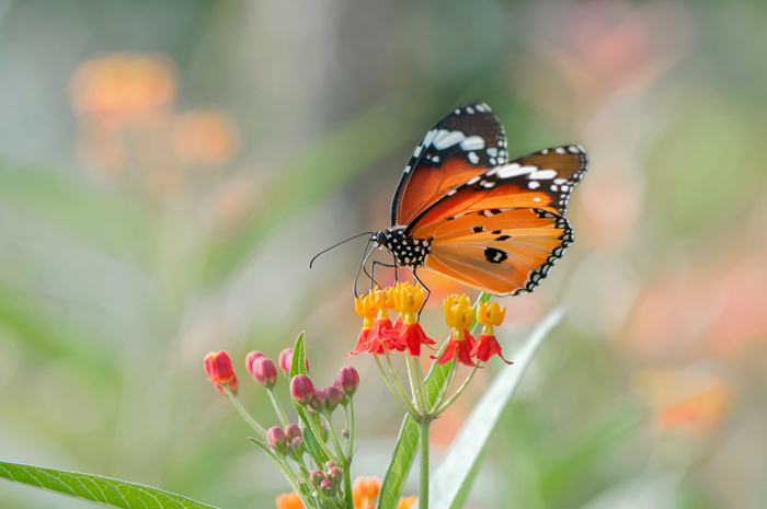 DSC_6549_副本.jpg