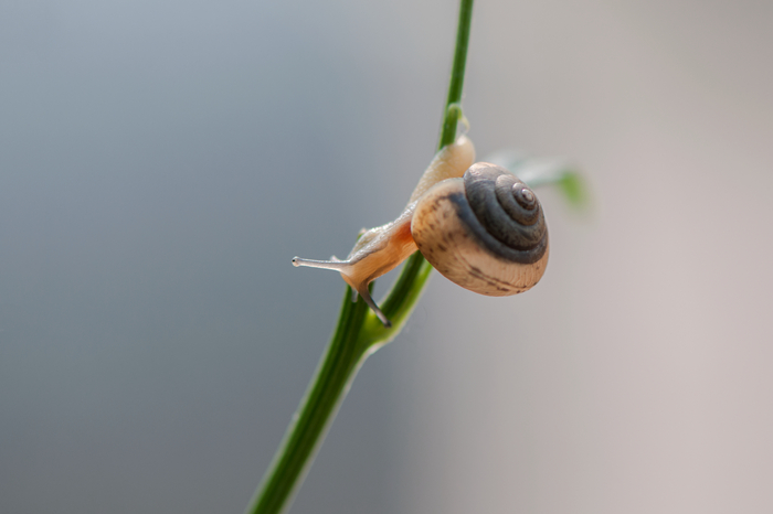 DSC_1333_副本.jpg