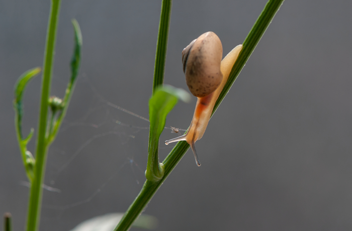 DSC_1336_副本.jpg
