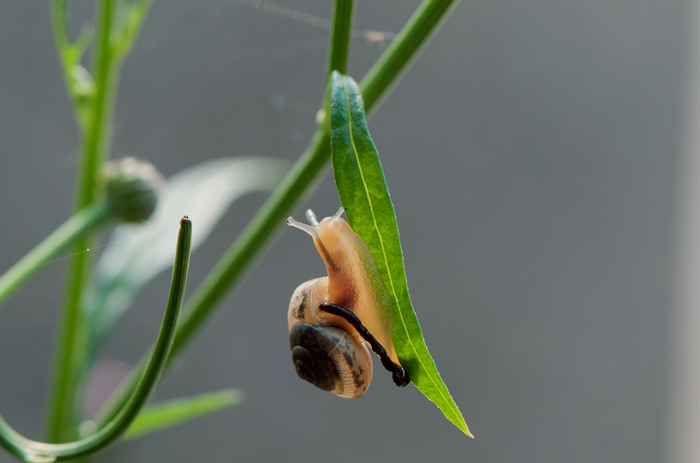 DSC_1352_副本.jpg