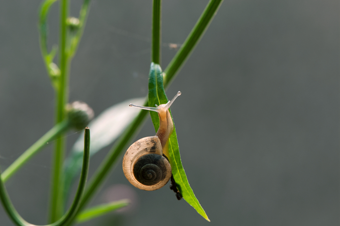 DSC_1354_副本.jpg